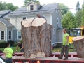 Transporting the Stump